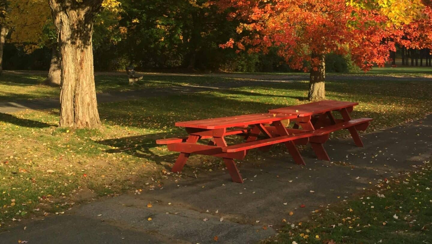 Red painted picnic tables sitting outside underneath autumn trees.